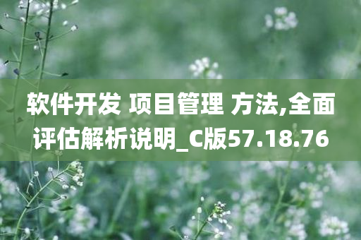 软件开发 项目管理 方法,全面评估解析说明_C版57.18.76