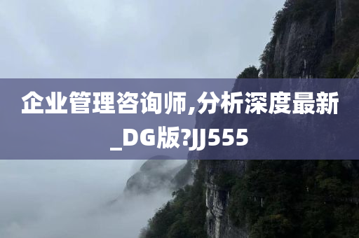 企业管理咨询师,分析深度最新_DG版?JJ555