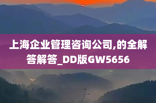 上海企业管理咨询公司,的全解答解答_DD版GW5656