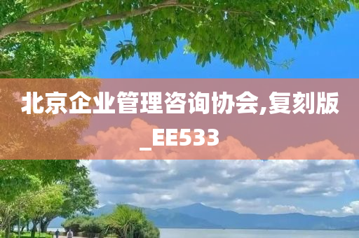 北京企业管理咨询协会,复刻版_EE533