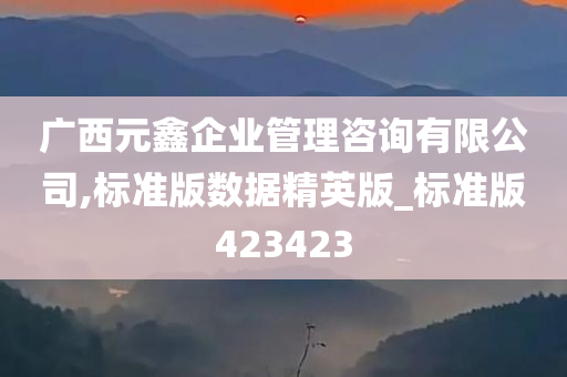 广西元鑫企业管理咨询有限公司,标准版数据精英版_标准版423423