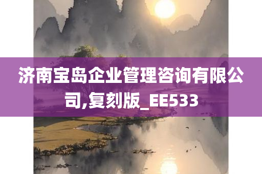 济南宝岛企业管理咨询有限公司,复刻版_EE533