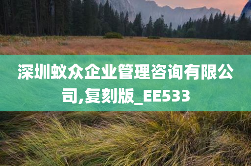 深圳蚁众企业管理咨询有限公司,复刻版_EE533