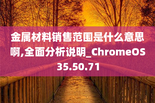 金属材料销售范围是什么意思啊,全面分析说明_ChromeOS35.50.71