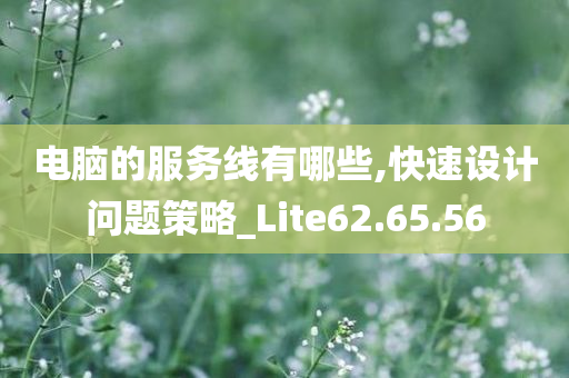 电脑的服务线有哪些,快速设计问题策略_Lite62.65.56