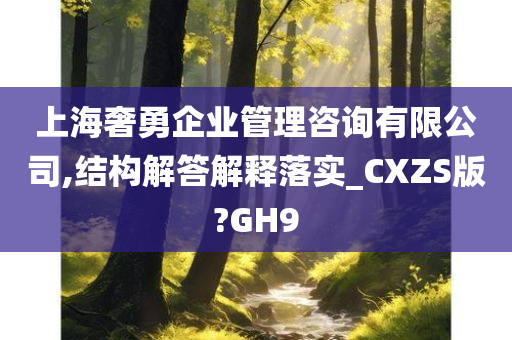 上海奢勇企业管理咨询有限公司,结构解答解释落实_CXZS版?GH9