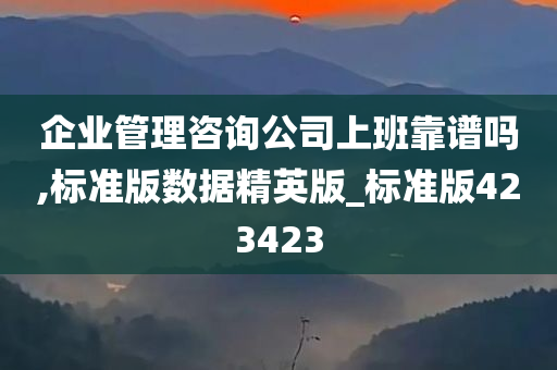 企业管理咨询公司上班靠谱吗,标准版数据精英版_标准版423423