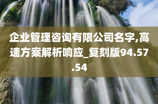 企业管理咨询有限公司名字,高速方案解析响应_复刻版94.57.54