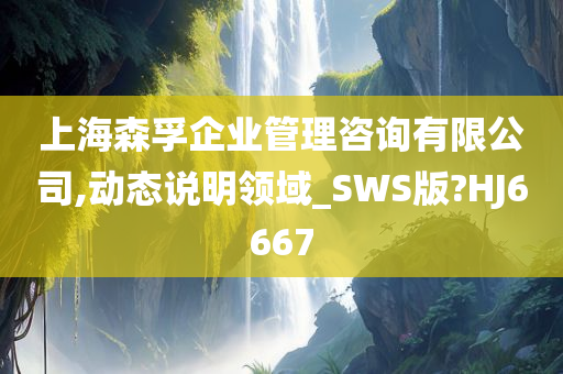 上海森孚企业管理咨询有限公司,动态说明领域_SWS版?HJ6667