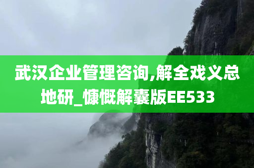 武汉企业管理咨询,解全戏义总地研_慷慨解囊版EE533