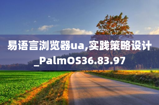 易语言浏览器ua,实践策略设计_PalmOS36.83.97