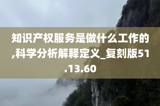 知识产权服务是做什么工作的,科学分析解释定义_复刻版51.13.60