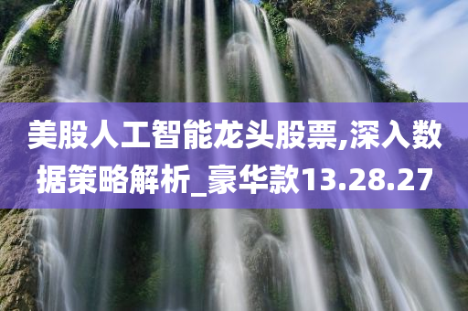 美股人工智能龙头股票,深入数据策略解析_豪华款13.28.27