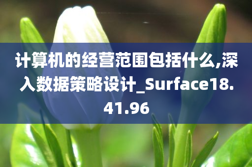 计算机的经营范围包括什么,深入数据策略设计_Surface18.41.96