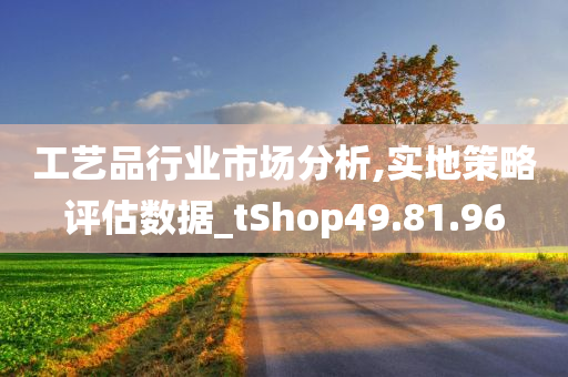 工艺品行业市场分析,实地策略评估数据_tShop49.81.96