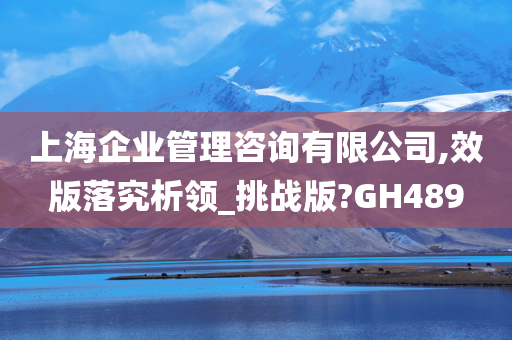 上海企业管理咨询有限公司,效版落究析领_挑战版?GH489