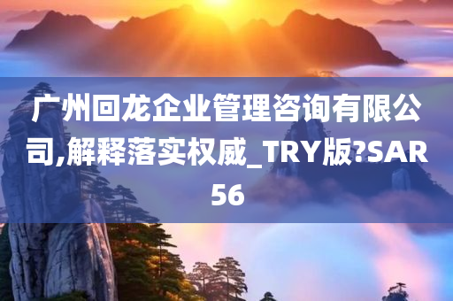 广州回龙企业管理咨询有限公司,解释落实权威_TRY版?SAR56