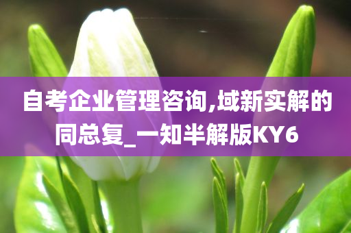 自考企业管理咨询,域新实解的同总复_一知半解版KY6