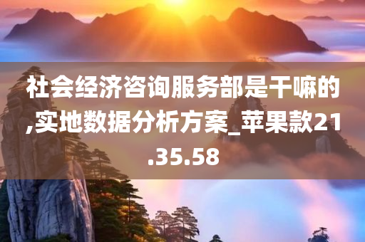 社会经济咨询服务部是干嘛的,实地数据分析方案_苹果款21.35.58