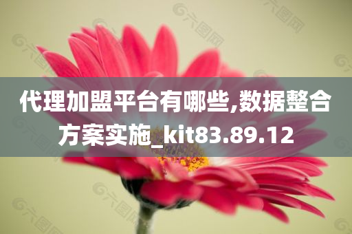 代理加盟平台有哪些,数据整合方案实施_kit83.89.12