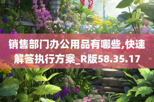 销售部门办公用品有哪些,快速解答执行方案_R版58.35.17