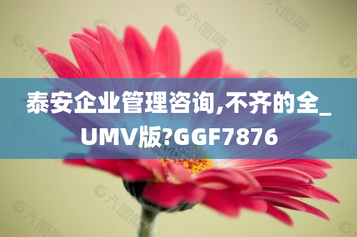 泰安企业管理咨询,不齐的全_UMV版?GGF7876