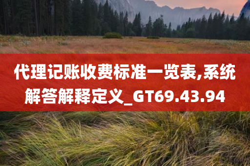 代理记账收费标准一览表,系统解答解释定义_GT69.43.94