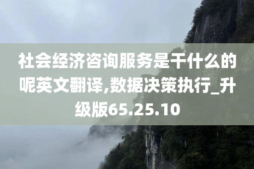 社会经济咨询服务是干什么的呢英文翻译,数据决策执行_升级版65.25.10