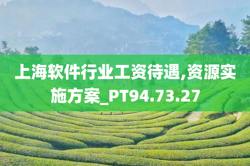 上海软件行业工资待遇,资源实施方案_PT94.73.27