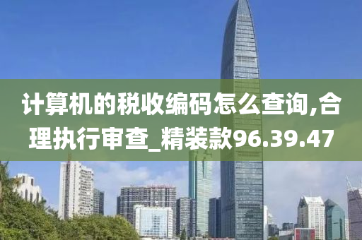 计算机的税收编码怎么查询,合理执行审查_精装款96.39.47