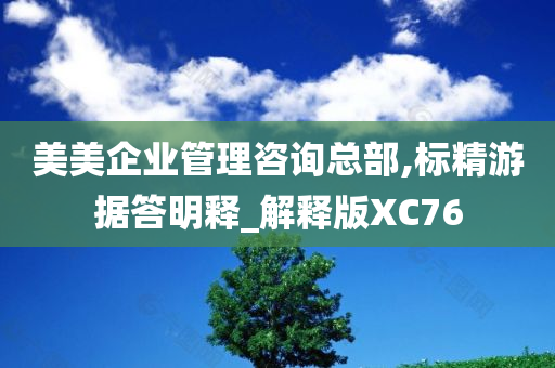 美美企业管理咨询总部,标精游据答明释_解释版XC76