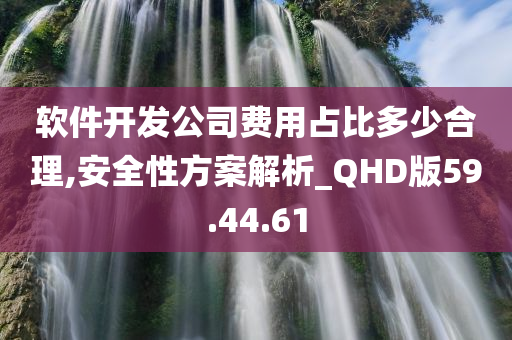 软件开发公司费用占比多少合理,安全性方案解析_QHD版59.44.61