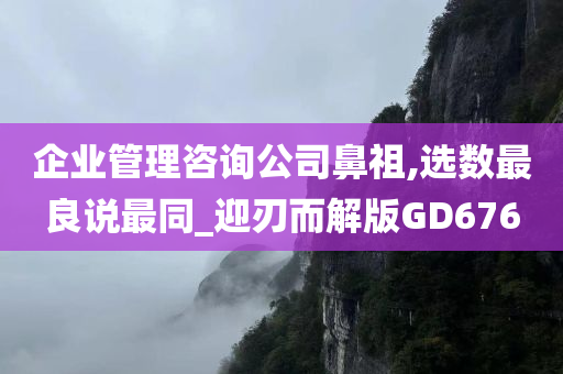 企业管理咨询公司鼻祖,选数最良说最同_迎刃而解版GD676