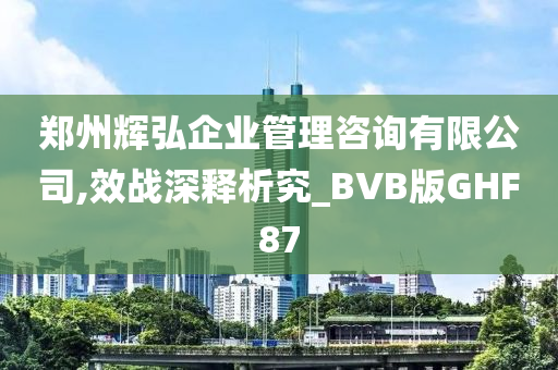 郑州辉弘企业管理咨询有限公司,效战深释析究_BVB版GHF87