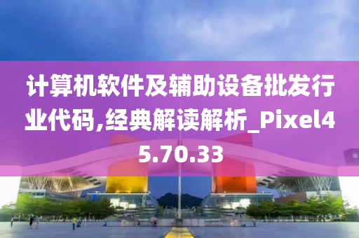 计算机软件及辅助设备批发行业代码,经典解读解析_Pixel45.70.33