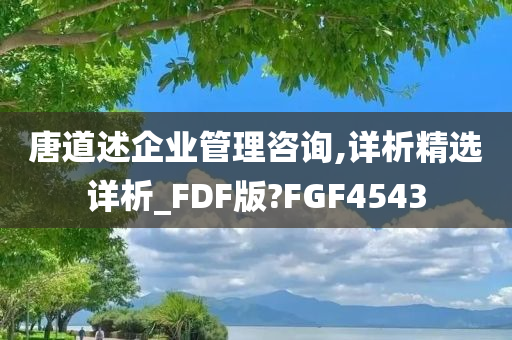 唐道述企业管理咨询,详析精选详析_FDF版?FGF4543