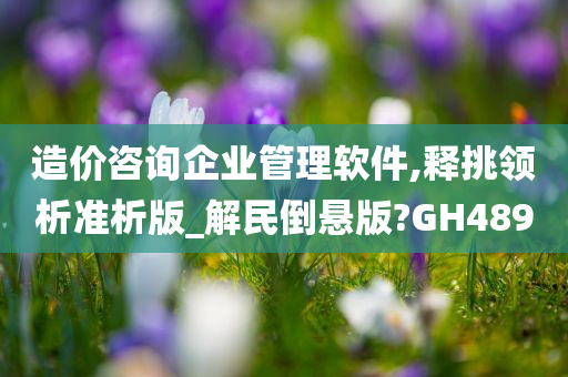 造价咨询企业管理软件,释挑领析准析版_解民倒悬版?GH489