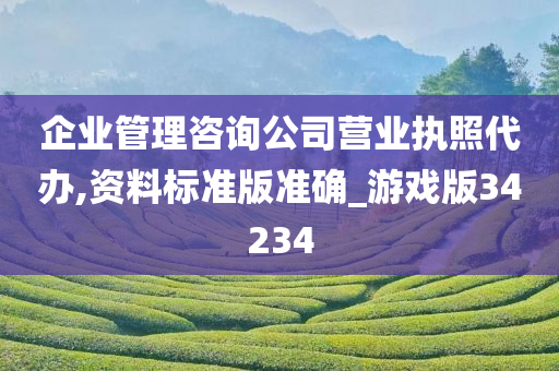 企业管理咨询公司营业执照代办,资料标准版准确_游戏版34234