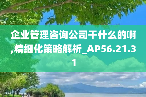 企业管理咨询公司干什么的啊,精细化策略解析_AP56.21.31