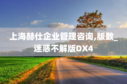 上海赫仕企业管理咨询,版数_迷惑不解版DX4