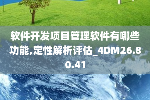 软件开发项目管理软件有哪些功能,定性解析评估_4DM26.80.41