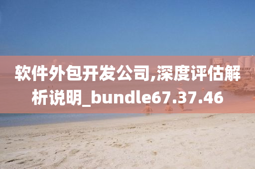 软件外包开发公司,深度评估解析说明_bundle67.37.46