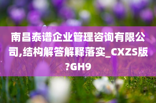 南昌泰谱企业管理咨询有限公司,结构解答解释落实_CXZS版?GH9