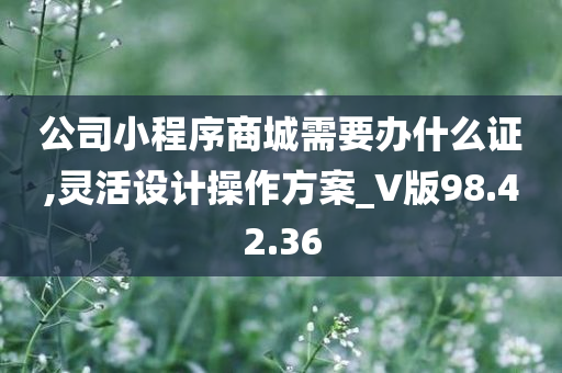 公司小程序商城需要办什么证,灵活设计操作方案_V版98.42.36