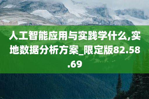 人工智能应用与实践学什么,实地数据分析方案_限定版82.58.69