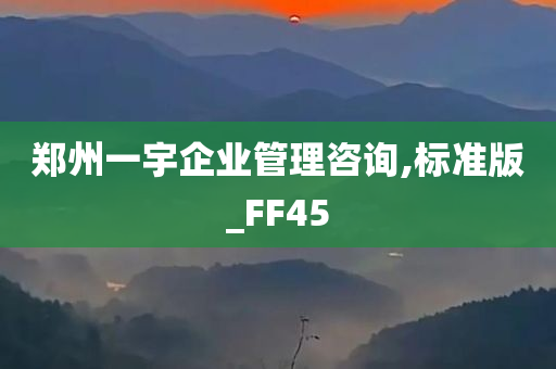 郑州一宇企业管理咨询,标准版_FF45