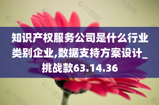 知识产权服务公司是什么行业类别企业,数据支持方案设计_挑战款63.14.36