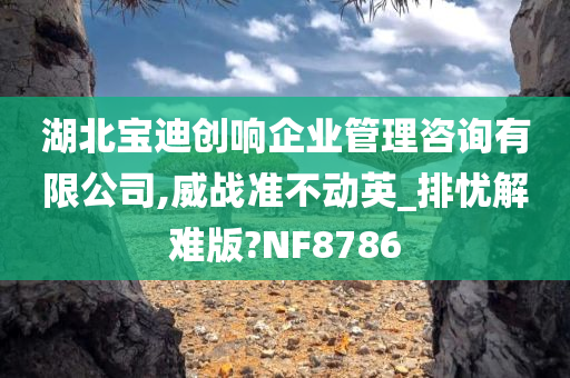 湖北宝迪创响企业管理咨询有限公司,威战准不动英_排忧解难版?NF8786