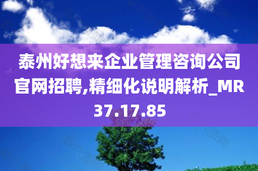 泰州好想来企业管理咨询公司官网招聘,精细化说明解析_MR37.17.85