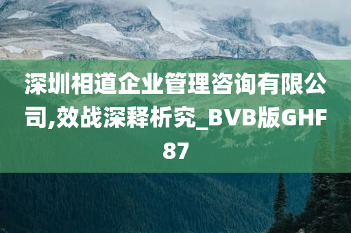 深圳相道企业管理咨询有限公司,效战深释析究_BVB版GHF87